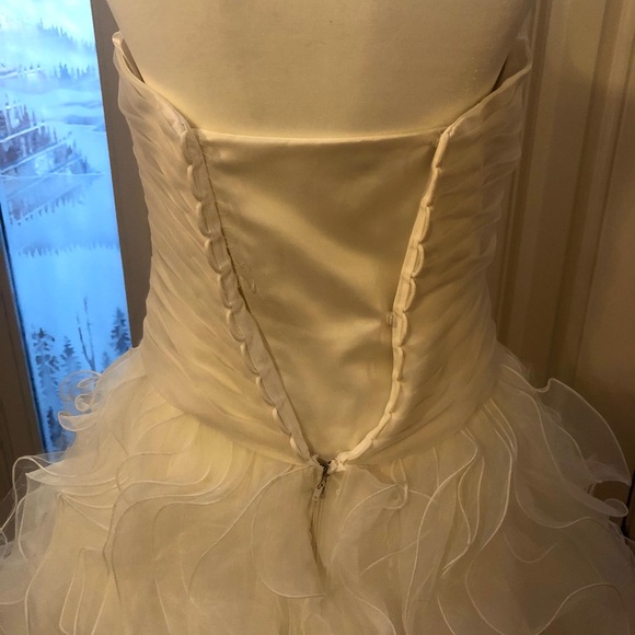 Wedding Dress - Picture 13 of 14
